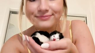 Cat Sleeping with its Tongue Out! 12