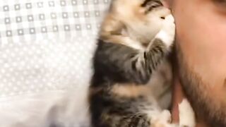 Cat Trying to Catch the Wiper Blades! 13