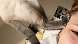 Cat Sneezing and Scaring Itself! 13