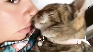 Trying Not To Laugh at This Cat! 14