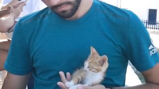 Cat Reacts to Owner's Singing! 14