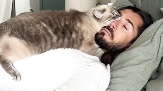 Cat Stuck on the Ceiling Fan! 😂 14