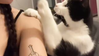 Cat Gently Waking Up Owner! 16