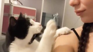 Sleepy Cat Falling off the Couch! 😂 16