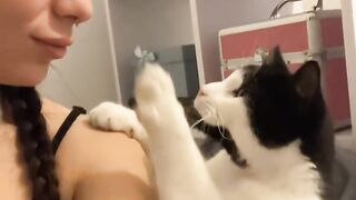 Cat Annoying Older Cat! Funny Sibling Rivalry! 13