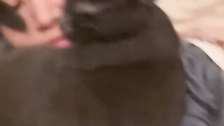 Cat Refuses to Let Owner Work! 15
