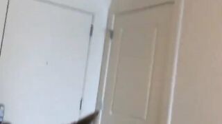 Cat Loving a Belly Rub! Rare Footage! 14