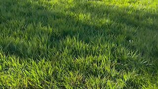 Happy Hour Acres