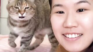 Cat Yelling at the Closed Door! 15
