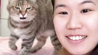 Cat Meets a Baby Chick! 🐥 15