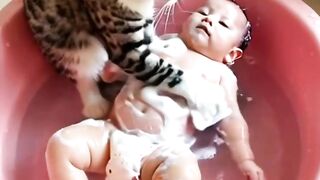 Cat Watching a Horror Movie! 15