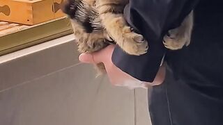 Cat Sleeping in a Hammock! 15