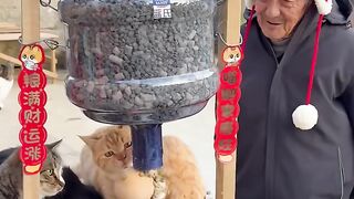 Cat Annoyed by a Snoring Dog! 12