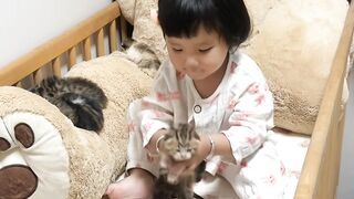 Cat Staring at a Ghost in the Hallway! 12