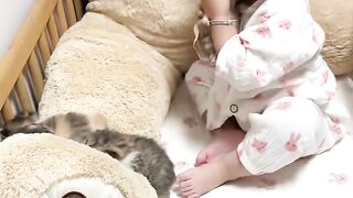 Kitten Learning to Meow! 🥺 14
