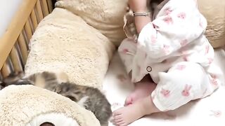 Cat Fighting its Own Tail in Circles! 12