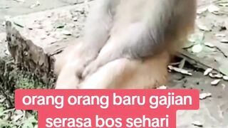 Lagi merenung nasib