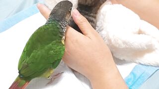 You Won't Believe What This Cat Did! 15