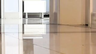 Cat Hiding in the Fridge! Sneaky! 13