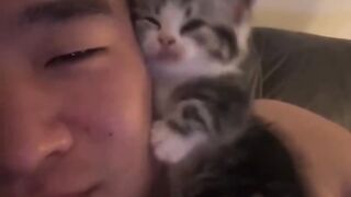 Cat Stealing the Dog's Bone! 28