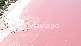 This Lake Is PINK! 😱🌸 Nature's Most Surreal Wonder #Shorts