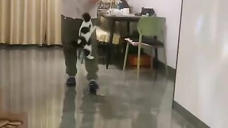 Cat Tries to Walk on Ice! 16