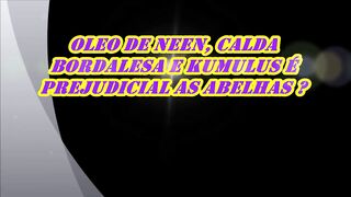 576 ) OLEO DE NEEN E PREJUDICIAL AS ABELHAS?