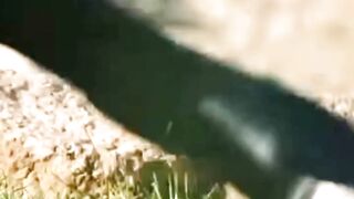 Don't Step On The Grass!