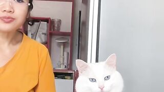 Cat Getting a Brain Freeze from Popsicle! 11