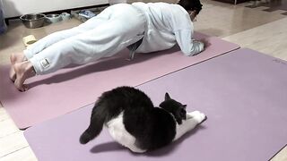 Kitten Learning to Meow! 🥺 15