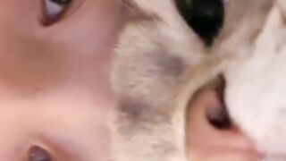 I Put a Cucumber Behind My Cat! 😂 5