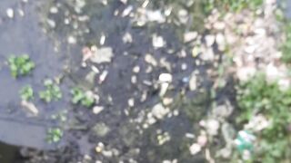 নরসুন্দা : ময়লার ভাগার