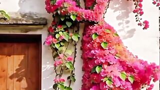 Beautiful flowers.🌷🍂🍁🌿🌷🍂🌲🍁🌿🌷🙏❤️