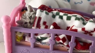 Cat Getting Brain Freeze from Ice Cream! 16