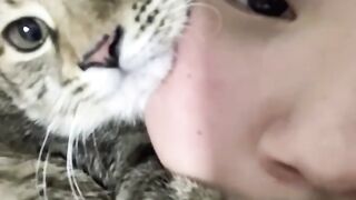Cat Staring at a Ghost in the Corner? 16