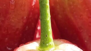 Water Apple Life Cycle