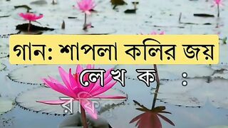 shapla koli