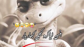funny 423