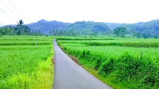Exploring the Beauty of the Countryside in the Morning