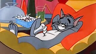 Tom e Jerry 16