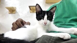 When Willdo Realized It Was Him On Camera...