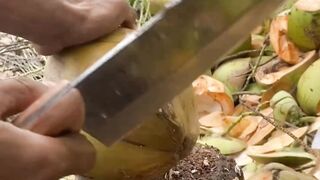 Young coconut water cutting skills ASMR