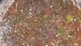 Making Sambal Terasi From Scratch! So Easy & Spicy