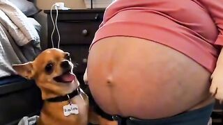 You won't stop laughing at the ending! 🤣😂