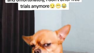 🤣🤣🤣🤣🤣 14
