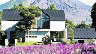 Purple flowers,green mountains, blue sky