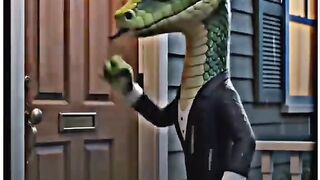 funny short 7