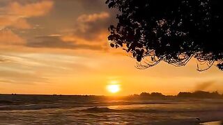 Sunset 113