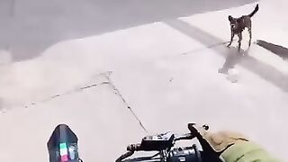 The Dog’s Barking Finally Got Him in Trouble! 😂🐕 | Never Mess With the Wrong One!