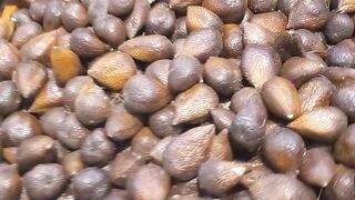Aneka buah